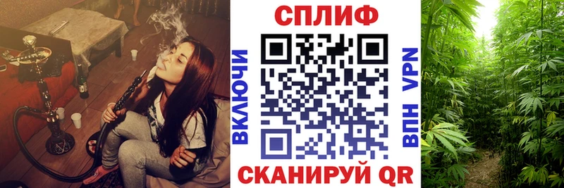 Шишки марихуана THC 21%  наркота  Фатеж 